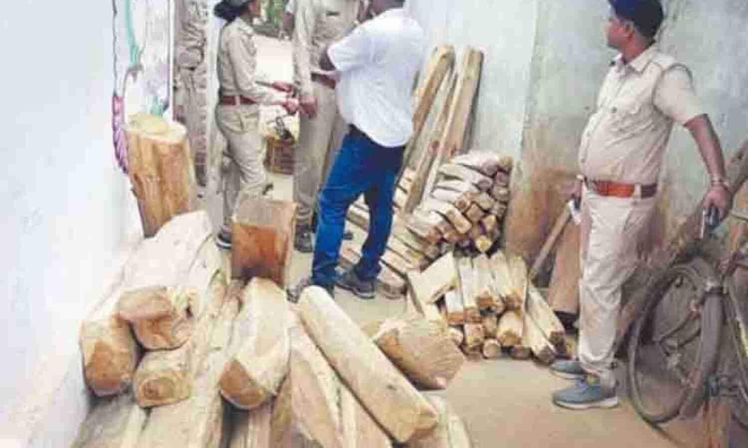 वन विभाग की टीम ने जब्त की 8 लाख की अवैध&nbsp;लकड़ी