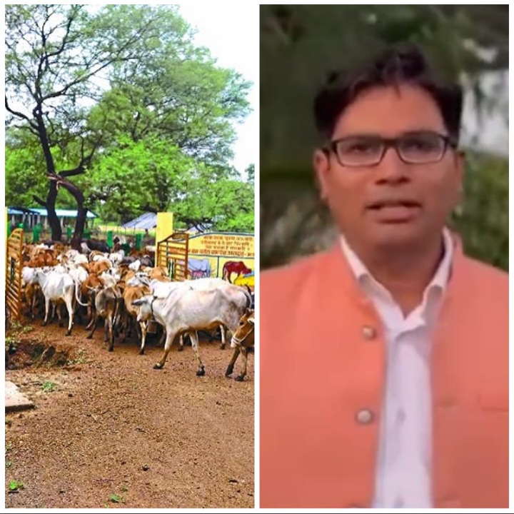 चलबो गौठान अउ खोलबो पोल 20 मई से प्रदेश व्यापी अभियान:- ओपी&nbsp;चौधरी