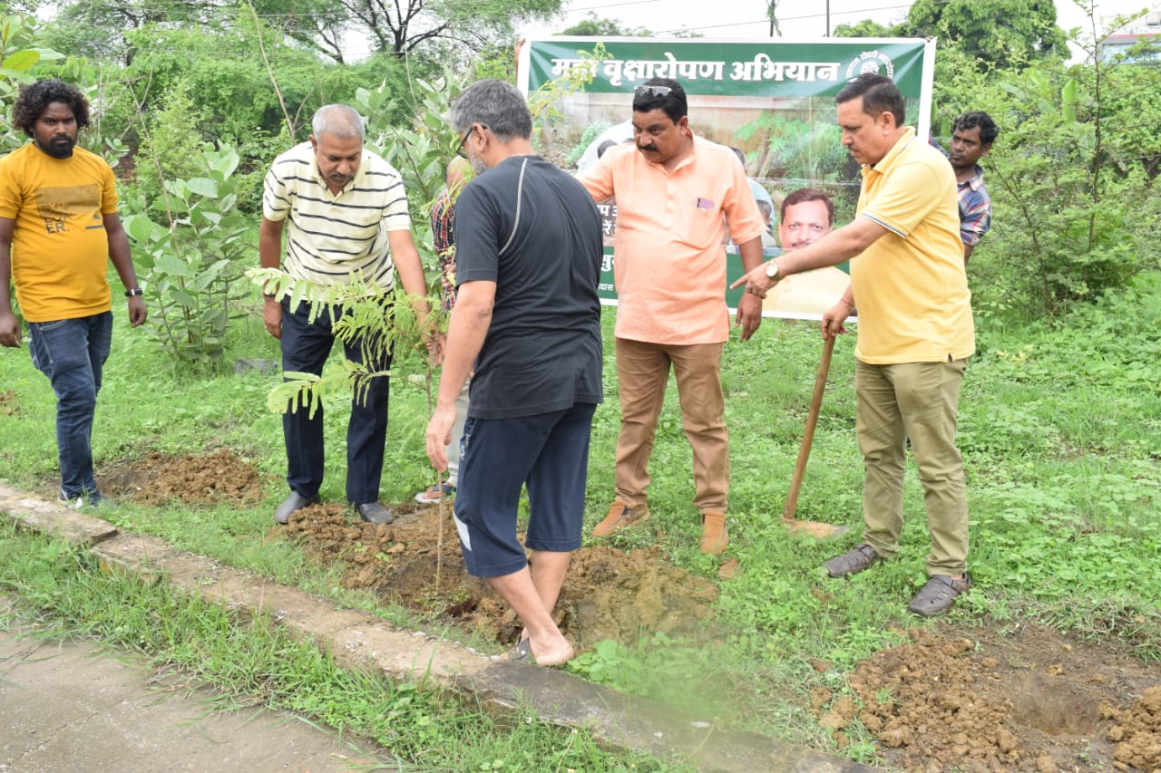 रामदास द्रौपदी फाउंडेशन द्वारा वृंदावन कॉलोनी में किया गया&nbsp;पौधरोपण