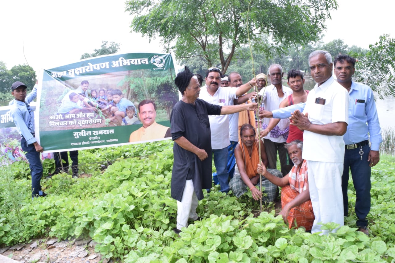 रामदास द्रौपदी फाउंडेशन द्वारा सरिया और पुसौर क्षेत्र में किया गया :-&nbsp;पौधरोपण