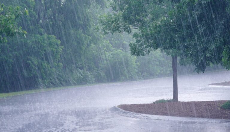छत्तीसगढ़ पहुंच सकता है,मानसून, आज इन जिलों में बारिश का&nbsp;अनुमान..