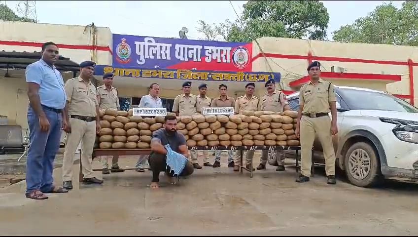 गांजा तस्करों के विरुध पुलिस की बड़ी कार्यवाही…..