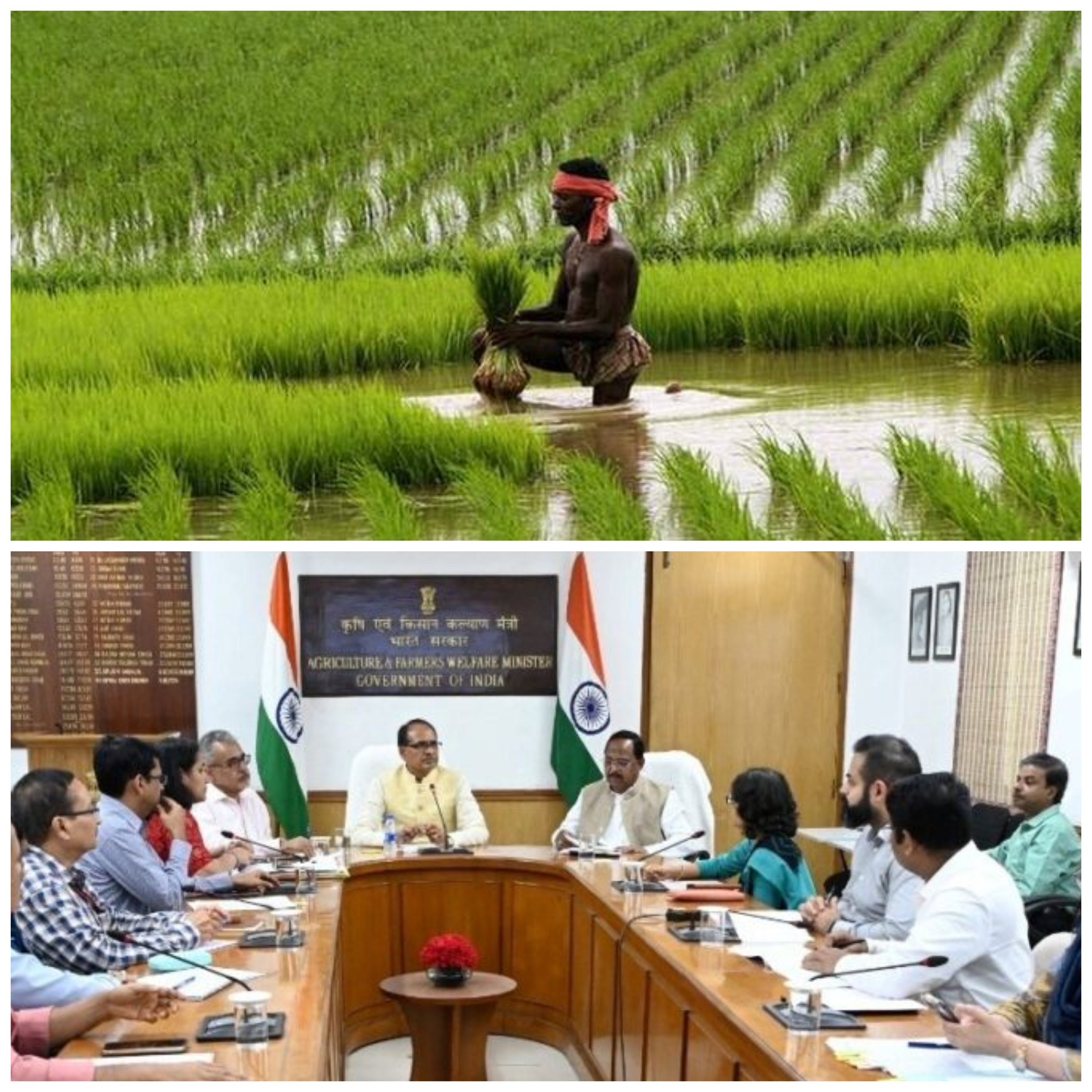 किसानों और कृषि क्षेत्र के हित में छत्तीसगढ़ को हरसंभव सहायता देती रहेगी केंद्र सरकार : – शिवराज सिंह&nbsp;चौहान