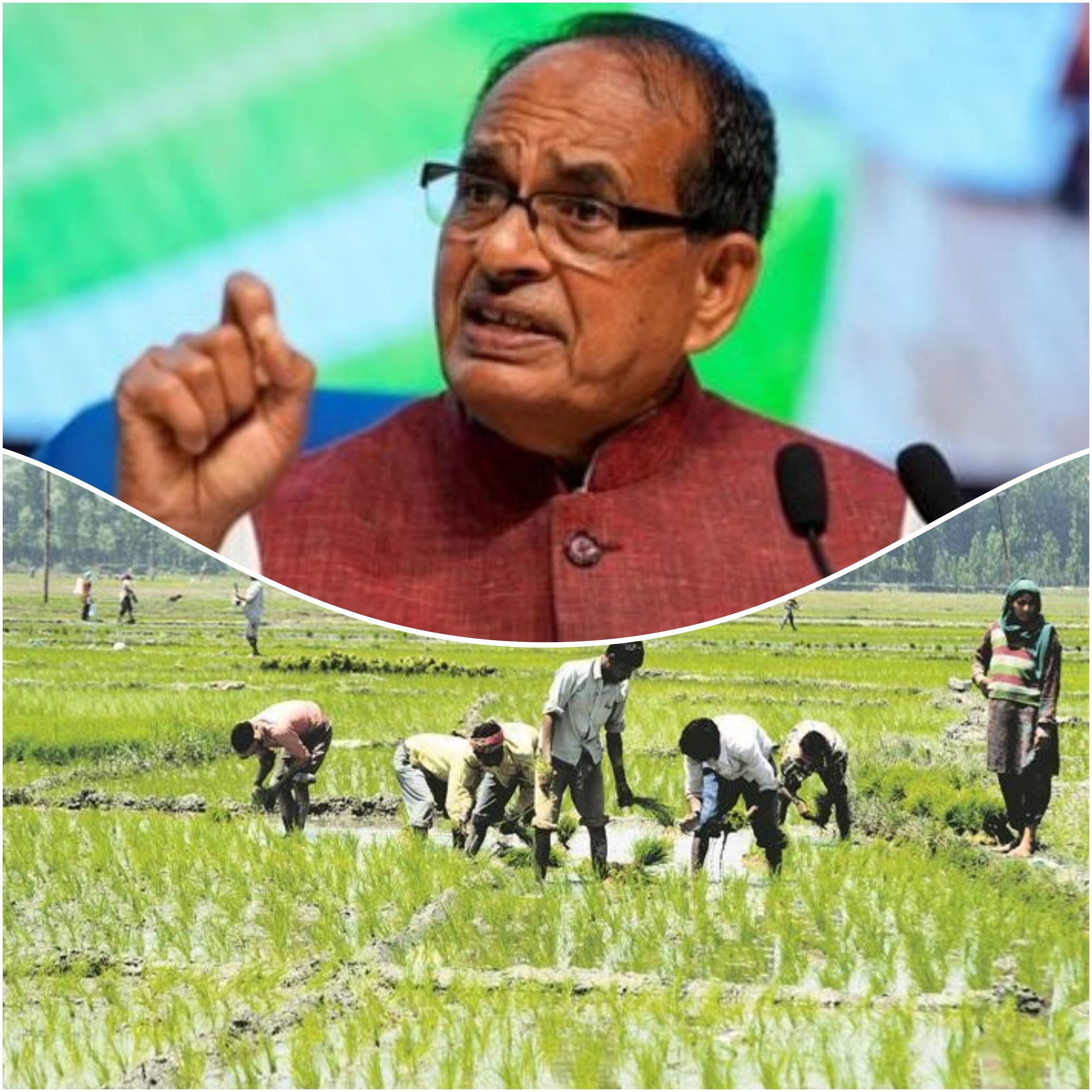 ‘MSP पर खरीदे जाएंगे,सभी कृषि उत्पाद’, कृषि मंत्री शिवराज चौहान बोले- यह मोदी सरकार की गारंटी, इसे हम पूरा&nbsp;करेंगे