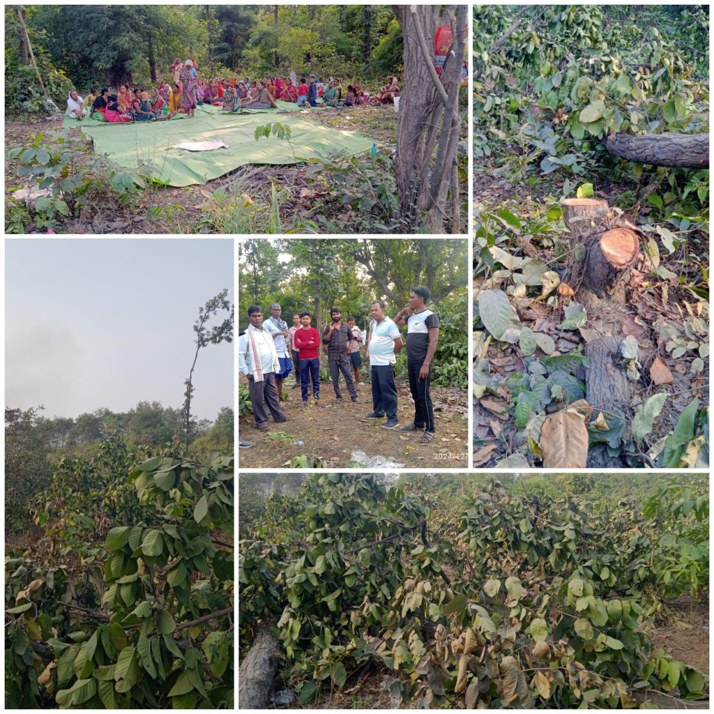 बिना ग्राम सभा की सहमति, जिंदल उद्योग द्वारा जंगल कटाई पर ग्रामीणों का आक्रोश स्थानीय विधायक की निष्क्रियता से क्षेत्रवासियों में गुस्सा……