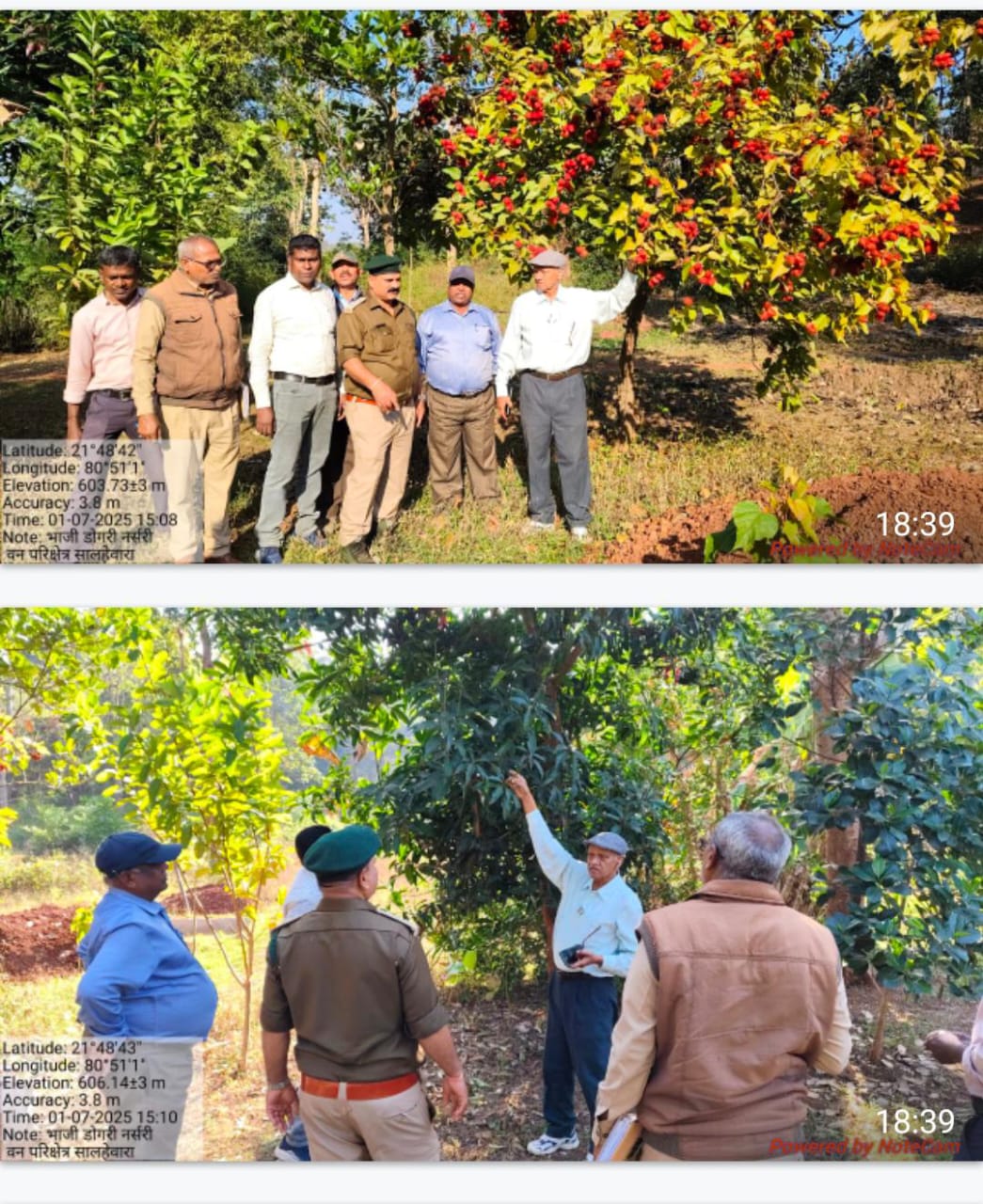 वन विभाग के अधिकारियों ने साल्हेवारा में जंगलों में वृक्षारोपण की कटाई का किया निरीक्षण…..