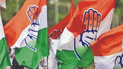 नगर पंचायत चुनाव: कांग्रेस प्रत्याशी लाल टारकेश्वर शाह खुशरो ने किया जनसंपर्क, घर-घर जाकर मांगे&nbsp;वोट