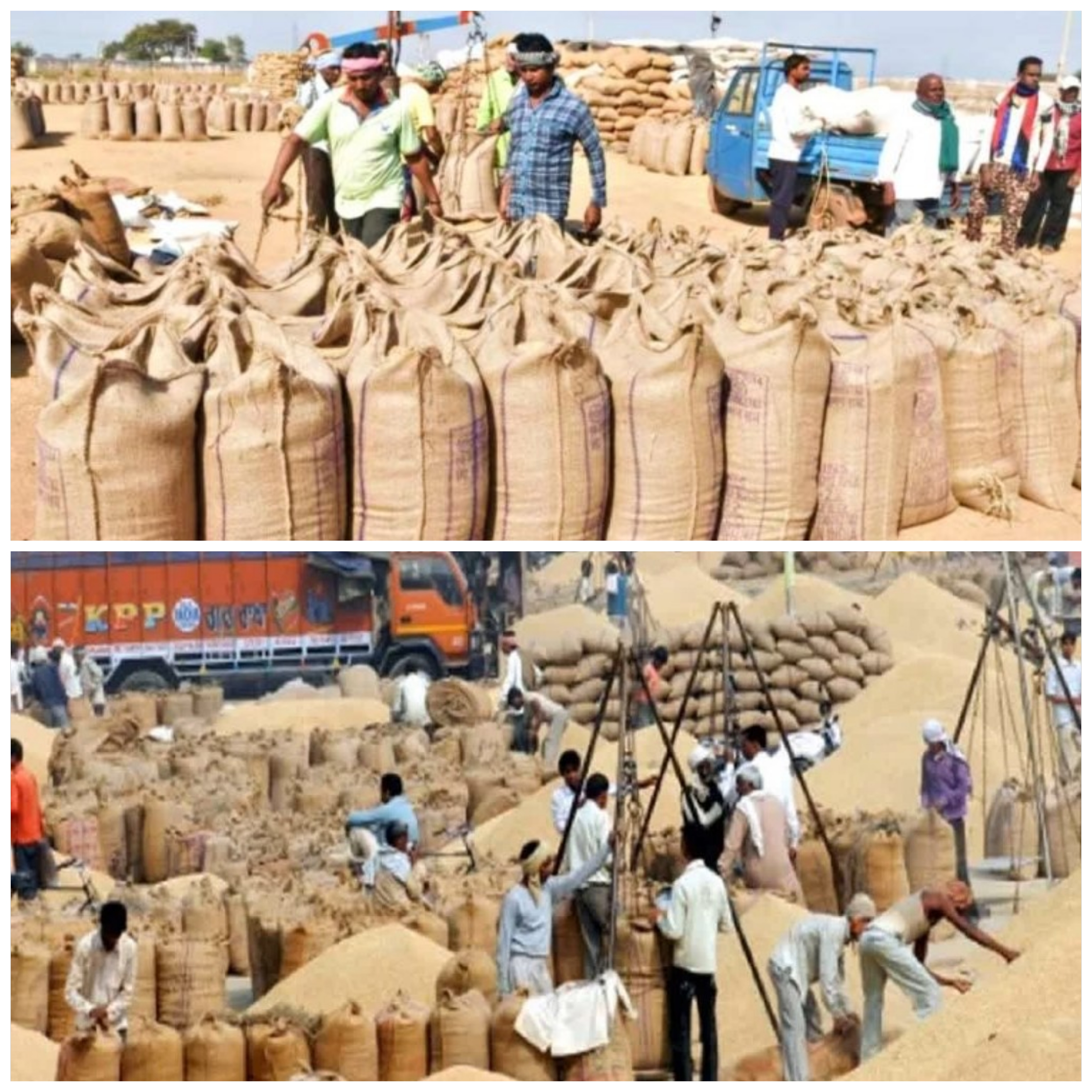 प्रदेश में 15 नवम्बर से समर्थन मूल्य पर धान खरीदी को लेकर तैयारियां पूरी, मुख्यमंत्री ने अधिकारियों को उपार्जन केन्द्रों में किसानों को आवश्यक सुविधाएं उपलब्ध कराने के निर्देश&nbsp;दिए