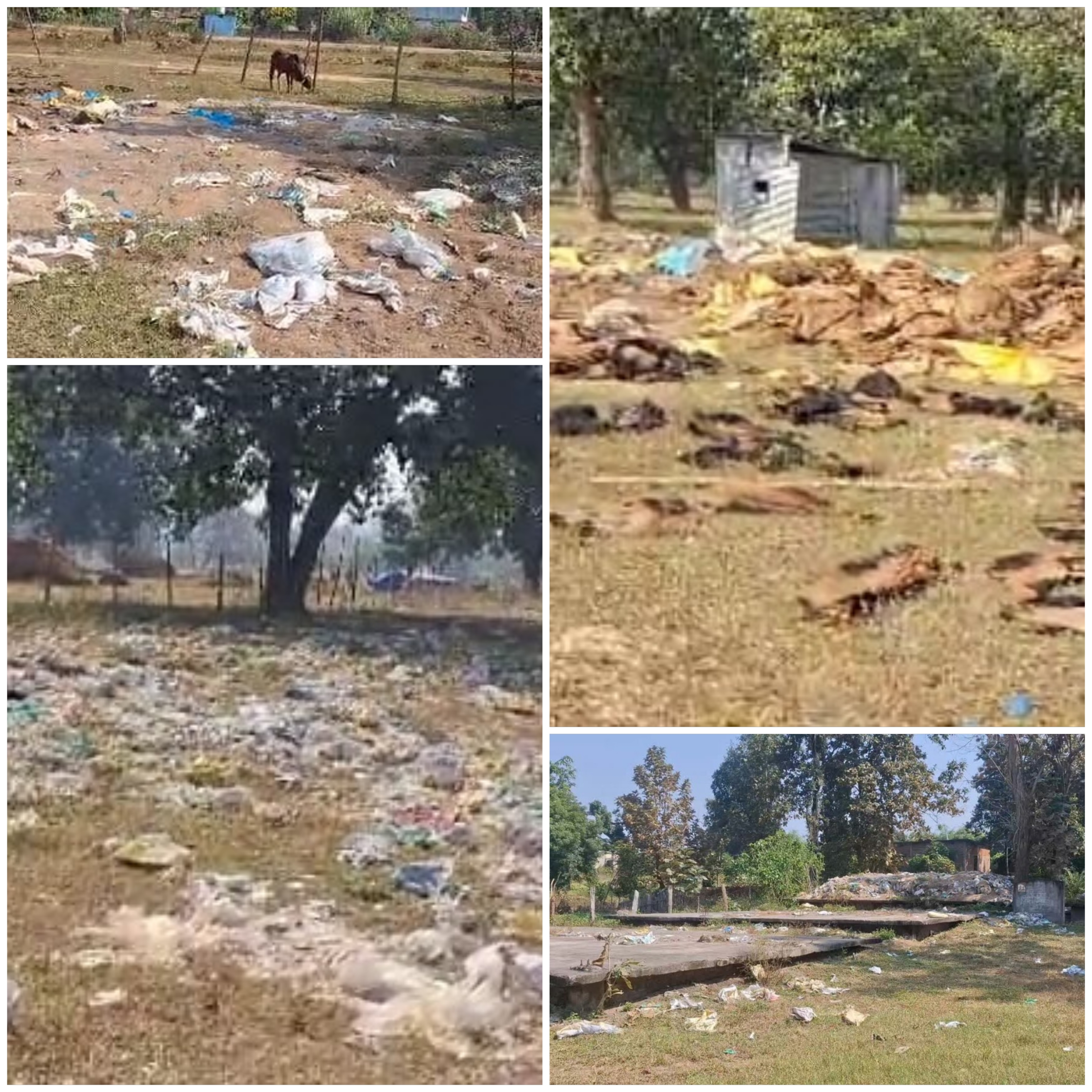 कांकेर जिले में धान खरीदी व्यवस्था चरमराई, हड़ताल से किसानों की बढ़ी&nbsp;परेशानी….