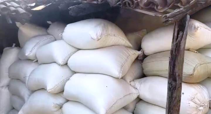 बलरामपुर में धान की कालाबाजारी पर बड़ी कार्रवाई, 429 बोरी अवैध धान और पिकअप वाहन जप्त—बिचौलियों में&nbsp;हड़कंप