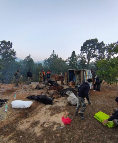 ऑपरेशन शंखनाद के तहत दो पिकअप से 26 गौवंश मुक्त, गौ तस्कर&nbsp;फरार