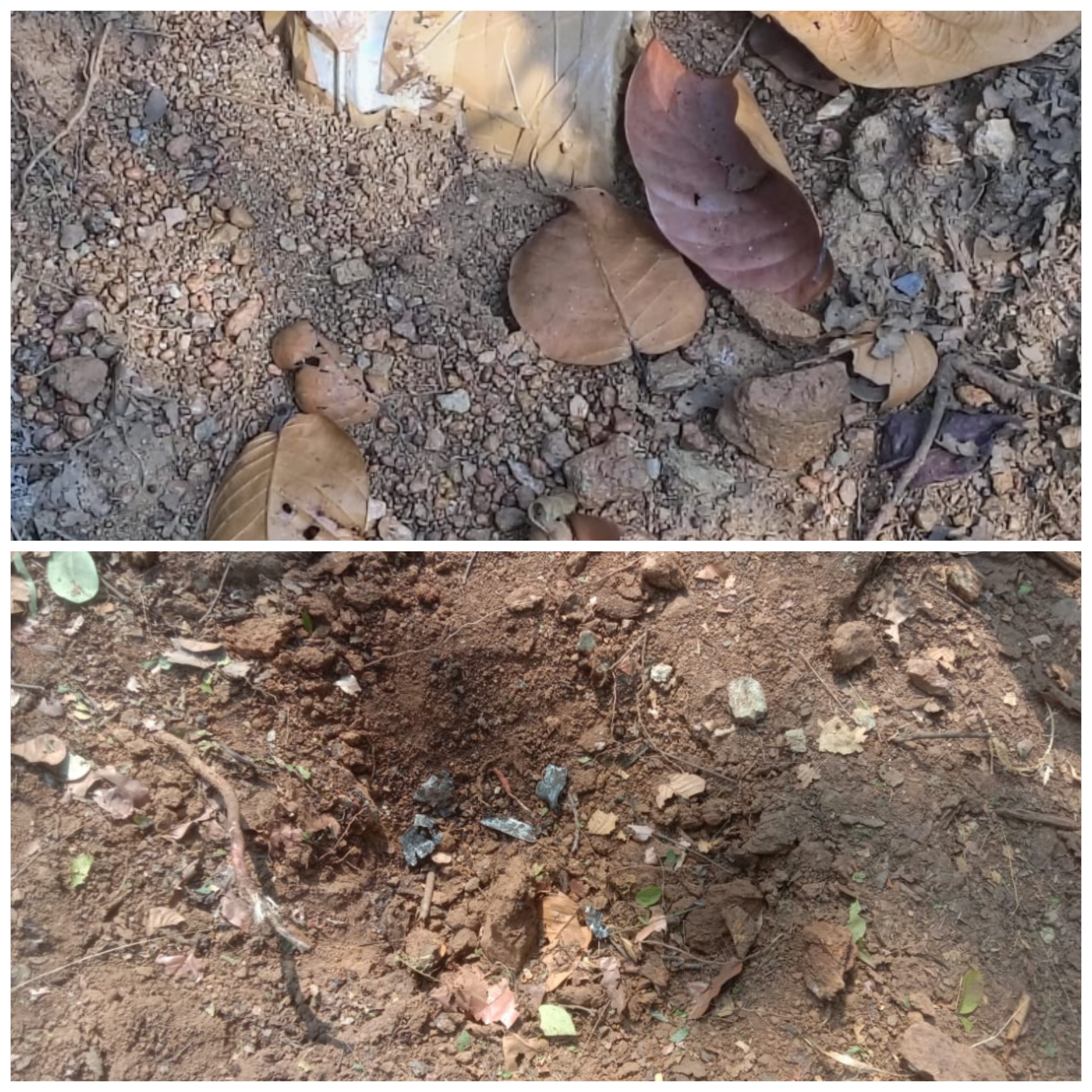 दंतेवाड़ा में नक्सलियों की साजिश नाकाम, 5 किलो का प्रेशर कंटेनर आईईडी बरामद कर मौके पर किया गया,&nbsp;नष्ट….