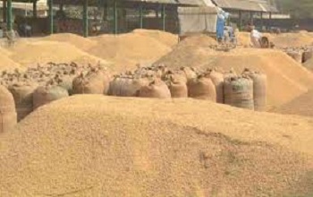 धान खरीदी में बड़ी कार्रवाई: कस्टम मिलिंग में गड़बड़ी, 14 राइस मिल&nbsp;सील